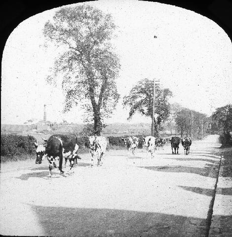 Record Image